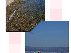 -抚仙湖禄充风景区
