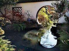 -上海醉白池公园