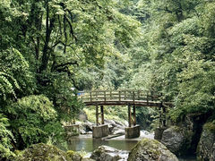 -龙苍沟森林公园