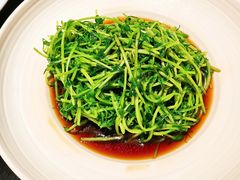 酒香炒豆苗-老头儿油爆虾·知味杭州(爱琴海购物中心)