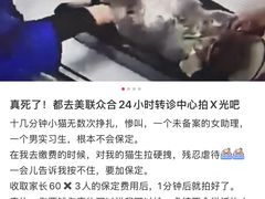 -美联众合动物医院·24h转诊中心
