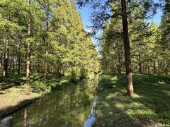 -黄海国家森林公园