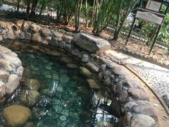 -三亚海棠湾南田温泉神龙谷