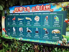 -广州长隆飞鸟乐园