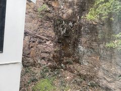 -雅苑中餐厅