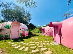 -漳州滨海火山岛自然生态风景区