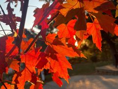 -云峰山自然风景区