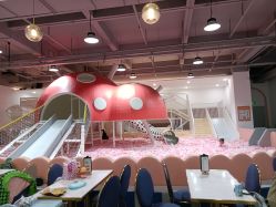 -宝燕乐园(春申店)