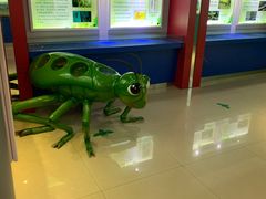 -上海昆虫博物馆