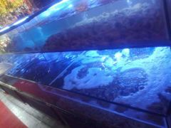 -特色酱椒鱼私房菜(黄鹤楼店)