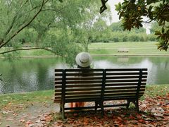 -上海共青森林公园