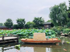 -鹅湖玫瑰文化园