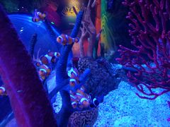 -沈阳海洋探索中心