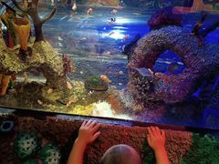 -沈阳海洋探索中心