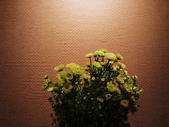 -茉莉花园咖啡(惠民路店)