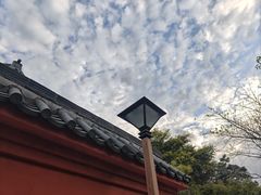 -东部华侨城