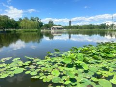 -西海子公园