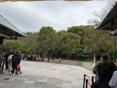 -普陀山雷迪森庄园