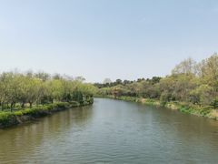 -日照海滨国家森林公园