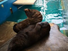 -成都浩海立方海洋公园