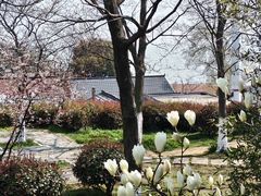 -巢湖姥山岛