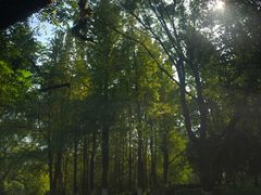 -桂林两江四湖景区