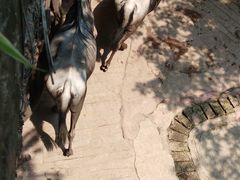 -长鹿旅游休博园