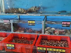 水产区-渔享海尚鲜酒楼(广海渔人码头店)