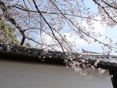 -醍醐寺