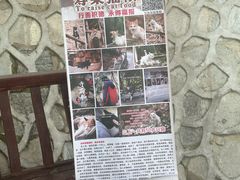 -宝通禅寺