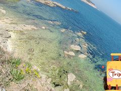 -养马岛旅游度假区