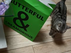 -B&C黄油与面包·THE GARDEN BAKERY概念店(世纪汇店)