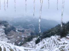 -紫鹊界梯田景区
