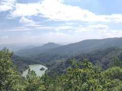 -广州白江湖森林公园