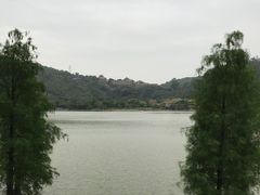 -顺峰山公园