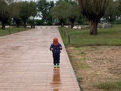 -汉长安城未央宫国家考古遗址公园