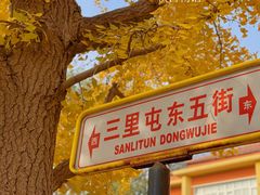 -三里屯东五街银杏大道