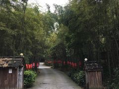 -铁山坪森林公园