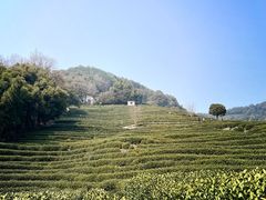 -龙井壹号·茶缘山景宴(龙井村店)
