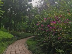 -龙头寺公园