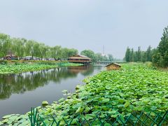 -白洋淀景区