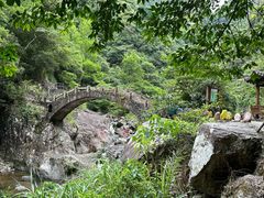 -龙湾潭国家森林公园