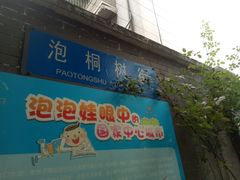-泡桐树街
