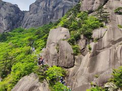 -黄山风景区