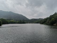 -深圳仙湖植物园
