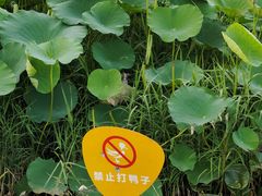 -前关湿地公园
