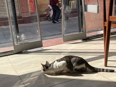 -阿芬卤面(花巷店)