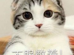 -太兴餐厅(东方广场分店)