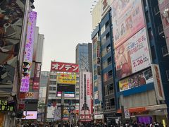 -秋叶原电器街