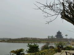 茶室外露天座-上海海湾国家森林公园